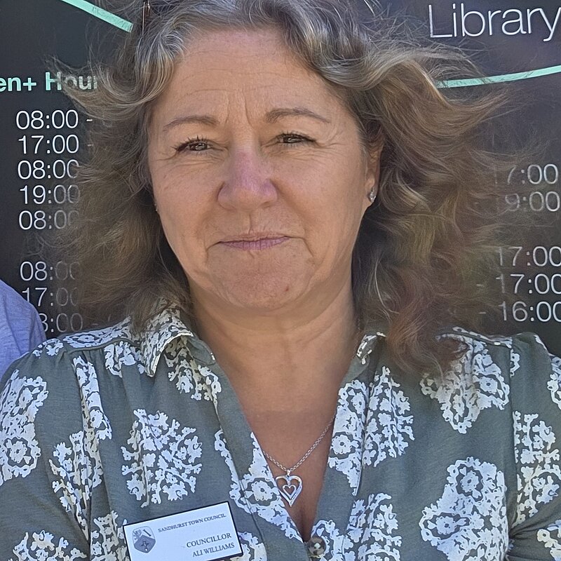 Alison Williams